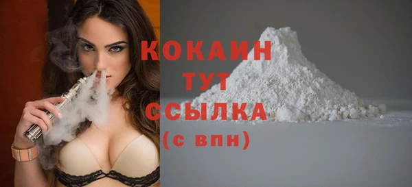 гашик Зеленокумск