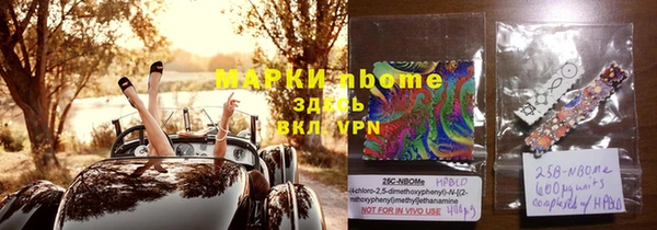 гашик Зеленокумск