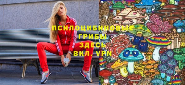 бошки Зеленодольск