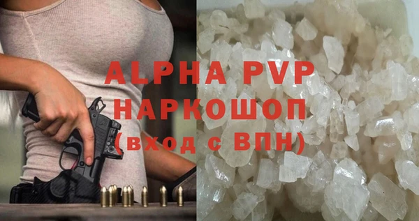 гашик Зеленокумск